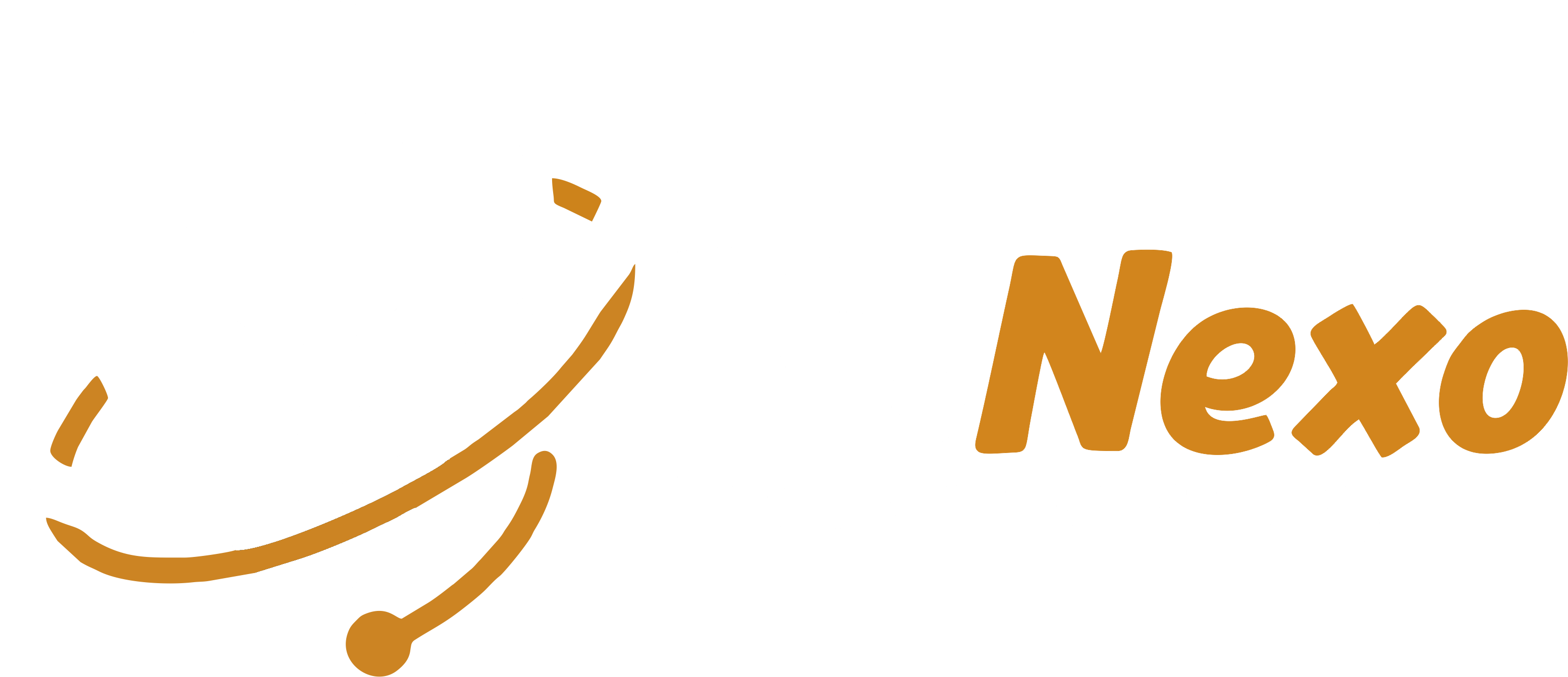 BisNexo Logo