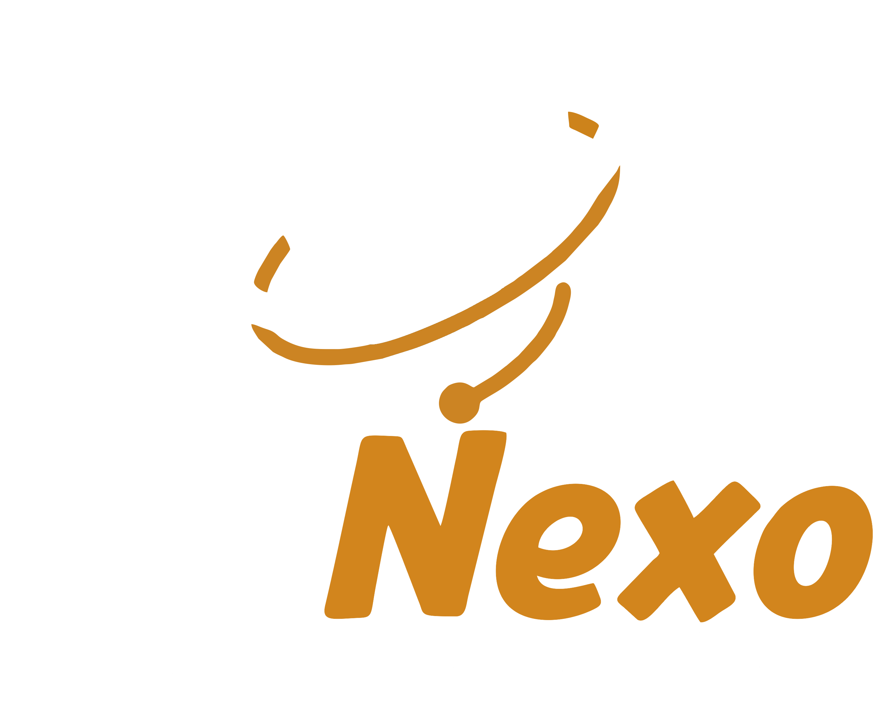 BisNexo Logo